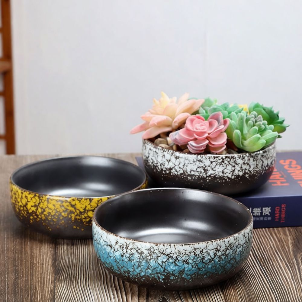 Large Mouth Ceramic Succulent  - огляд і ціна Bonsai Garden Art